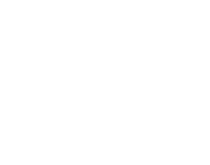 truck icon